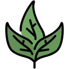 spinach filled line icon