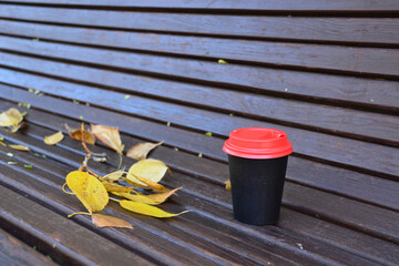 a paper cup of coffee on a wooden bench with birch leaves