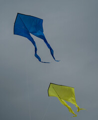 Sky Dance: Dual Kites Soaring