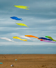 Vibrant Kites Over Sandy Beach