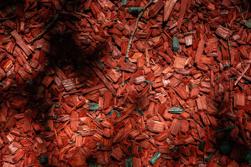 red and brown wood chips in forest