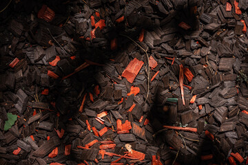 background of an organic wood texture red and black