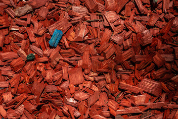 red and blue wood chips in forest