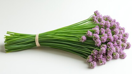 Fototapeta premium Detailed Chives Bouquet in High Contrast Studio Shot on White Background