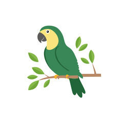 Decorativo conceptual