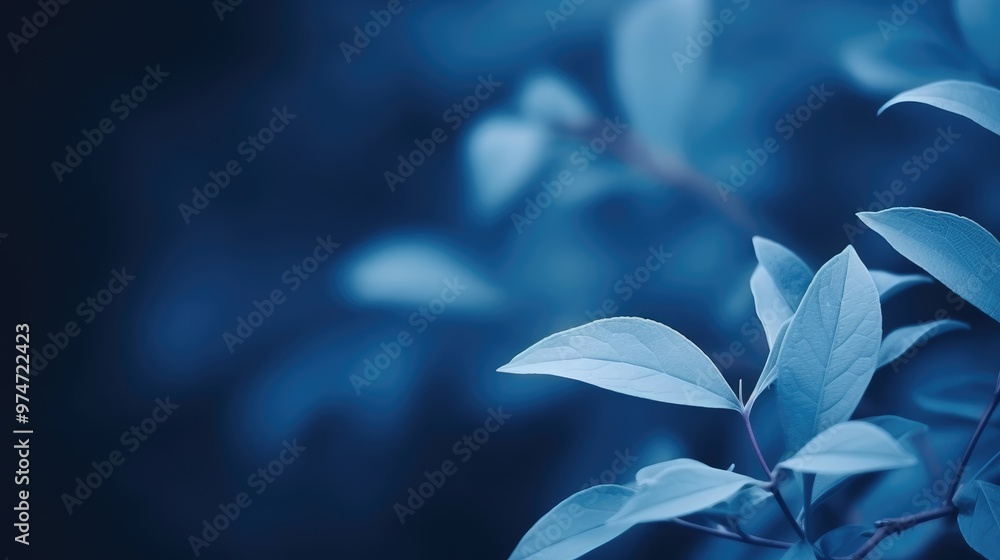 Poster a close-up of a delicate leaf, illuminated by the soft glow of the setting sun, creating a sense of 