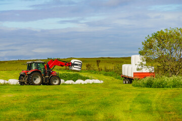 Bale of hay wrapped in plastic foil, Norway