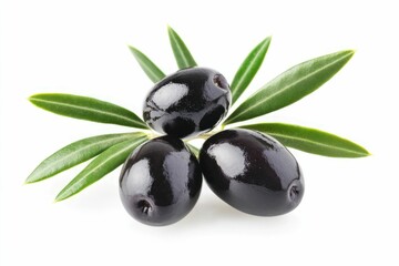 Isolated olives. Three black olive fruits on a branch with leaves isolated on white background, black olives with leaves	