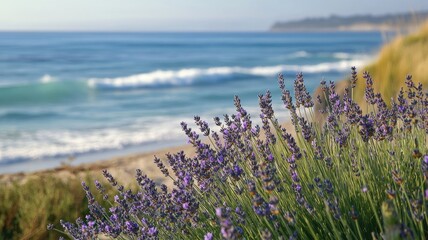 Lavender plants with purple flowers growing near a beach, with gentle waves crashing in the background.
