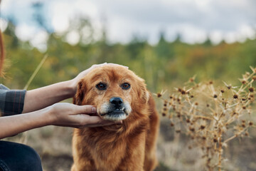 A person peacefully bonding with a golden retriever in the vast green field on a relaxing outdoor journey