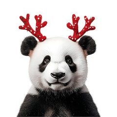 Obraz premium Cute Panda Bear Wearing Festive Reindeer Antlers on Isolated White Background