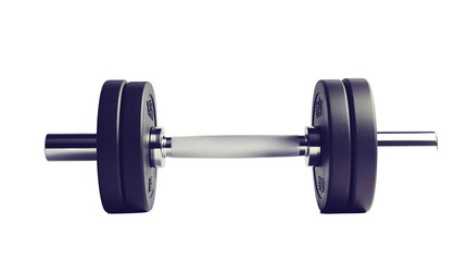 Gym dumbbell isolated.