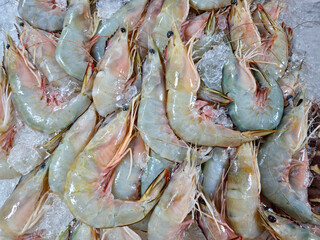 Fresh Catch: A bounty of raw, shell-on shrimp glisten invitingly on a bed of ice, ready for culinary creativity.