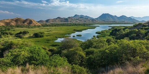 A winding river through lush green vegetation and rolling hills.