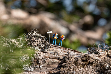 Two miniature hikers standing on a log are contemplating the path forward