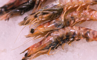 Carabinero shrimps on ice at local market