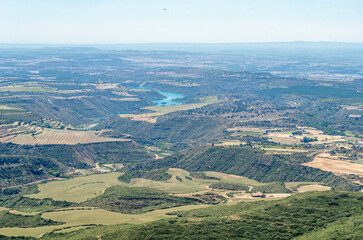 Vultures soaring in the Sierra and Canyons of Guara Natural Park, Spain