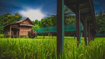 wooden house
