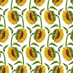 Seamless pattern of sunflowers with leaves on white background, hand drawn marker illustration in watercolor technique. For wallpapers, wrapping paper, fabric, textile, scrapbooking, any packaging