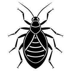 Black and white Aphid vector illustration 