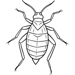 Aphid line art vector illustration 