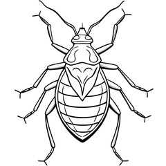 Aphid line art vector illustration 
