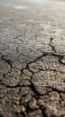 A close-up of textured road pavement with a light solid color background
