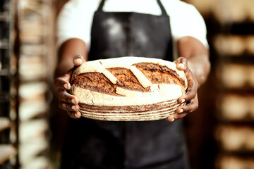 Hands, baker and bread in restaurant or small business as entrepreneur for retail supermarket. Person, pastry chef and baked goods in kitchen with fresh sourdough loaf in bakery, store or coffee shop