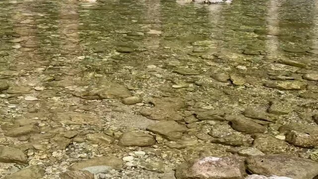 Pollat river in the forest, Germany