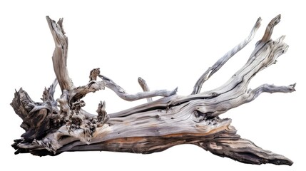 Fototapeta premium A detailed view of wooden texture on a white background