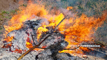 The fire is burning brightly, indicating it has been recently lit.