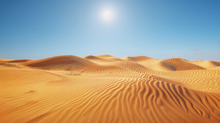 Arid desert at noon, with sharp shadows and minimal vegetation under a scorching sun.