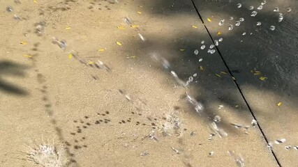 Water Droplets in Motion on Pavement with Shadows