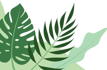 Aesthetic Plant Corner Clip Art