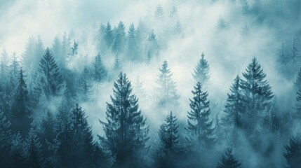 Fototapeta premium A mystical forest scene enveloped in a gentle mist, with towering evergreens reaching into sky,