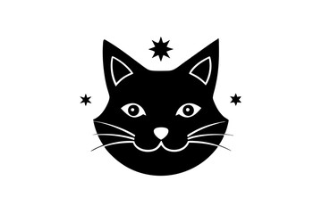 black and white cat