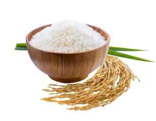 White rice Thai jasmine rice in a wooden bowl and ears of rice isolated on white background