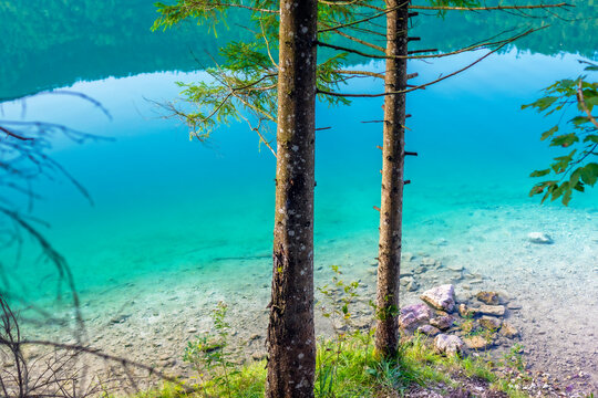 T&uuml;rkises Seewasser im vorderen Langbathsee im Salzkammergut/&Ouml;sterreich