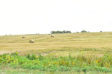 Obraz premium Hay Bales in a Farm Field