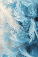 Frosty patterns on a glass window capturing intricate ice patterns in shades of blue and white.