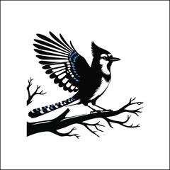 bird, crow, black, animal, wildlife, nature, raven, magpie, beak, white, wild, birds, feather, branch, isolated, avian, feathers
blue jay on a branch