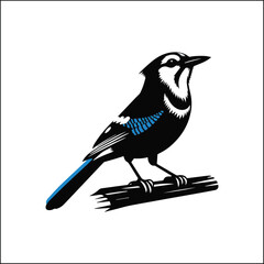 bird, crow, black, animal, wildlife, nature, raven, magpie, beak, white, wild, birds, feather, branch, isolated, avian, feathers
blue jay on a branch