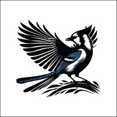 Obraz premium bird, crow, black, animal, wildlife, nature, raven, magpie, beak, white, wild, birds, feather, branch, isolated, avian, feathers blue jay on a branch