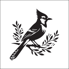 bird, crow, black, animal, wildlife, nature, raven, magpie, beak, white, wild, birds, feather, branch, isolated, avian, feathers
blue jay on a branch