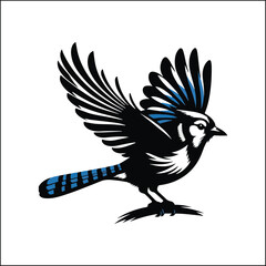 bird, crow, black, animal, wildlife, nature, raven, magpie, beak, white, wild, birds, feather, branch, isolated, avian, feathers
blue jay on a branch