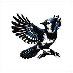 bird, crow, black, animal, wildlife, nature, raven, magpie, beak, white, wild, birds, feather, branch, isolated, avian, feathers
blue jay on a branch