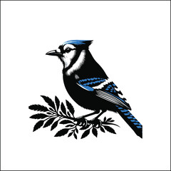 bird, crow, black, animal, wildlife, nature, raven, magpie, beak, white, wild, birds, feather, branch, isolated, avian, feathers
blue jay on a branch
