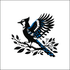 bird, crow, black, animal, wildlife, nature, raven, magpie, beak, white, wild, birds, feather, branch, isolated, avian, feathers
blue jay on a branch
