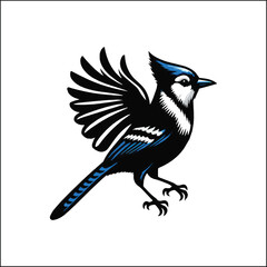 bird, crow, black, animal, wildlife, nature, raven, magpie, beak, white, wild, birds, feather, branch, isolated, avian, feathers
blue jay on a branch