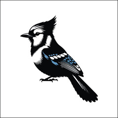 bird, crow, black, animal, wildlife, nature, raven, magpie, beak, white, wild, birds, feather, branch, isolated, avian, feathers
blue jay on a branch